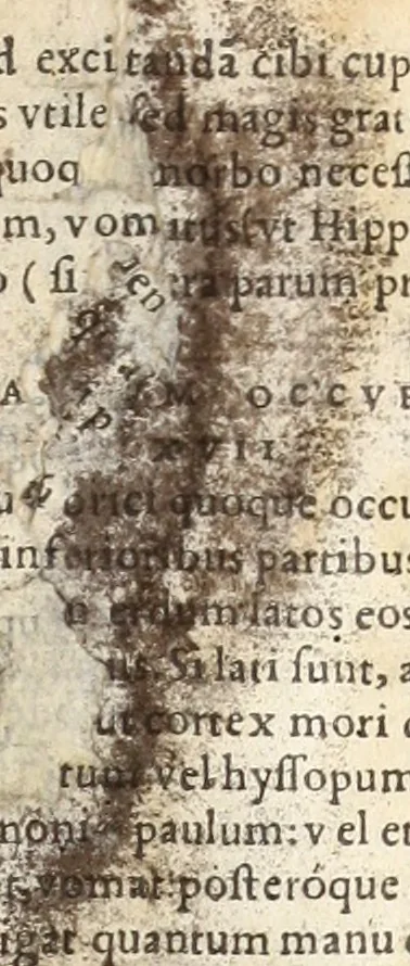 An illustration from Medicae artis principes, post Hippocratem & Galenum. Graeci Latinitate donati, Aretaeus, Ruffus Ephesius, Oribasius, Paulus Aegineta, Aëtius, Alex. Trallianus, Actuarius, Nic. Myrepsus. Latini, Corn. Celsus, Scrib. Largus, Marcell. Empiricus. Aliíque praeterea, quorum unius nomen ignoratur. Index non solùm copiosus, sed etiam ordine artificioso omnia digesta habens. Hippocr. aliquot loci cum Corn. Celsi interpretatione, 1567, leaf 800