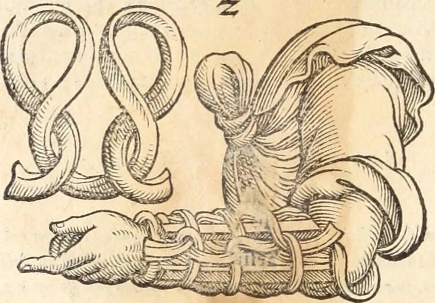 An illustration from Medicae artis principes, post Hippocratem & Galenum. Graeci Latinitate donati, Aretaeus, Ruffus Ephesius, Oribasius, Paulus Aegineta, Aëtius, Alex. Trallianus, Actuarius, Nic. Myrepsus. Latini, Corn. Celsus, Scrib. Largus, Marcell. Empiricus. Aliíque praeterea, quorum unius nomen ignoratur. Index non solùm copiosus, sed etiam ordine artificioso omnia digesta habens. Hippocr. aliquot loci cum Corn. Celsi interpretatione, 1567, leaf 85