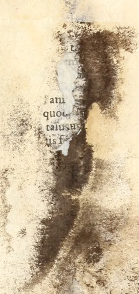 An illustration from Medicae artis principes, post Hippocratem & Galenum. Graeci Latinitate donati, Aretaeus, Ruffus Ephesius, Oribasius, Paulus Aegineta, Aëtius, Alex. Trallianus, Actuarius, Nic. Myrepsus. Latini, Corn. Celsus, Scrib. Largus, Marcell. Empiricus. Aliíque praeterea, quorum unius nomen ignoratur. Index non solùm copiosus, sed etiam ordine artificioso omnia digesta habens. Hippocr. aliquot loci cum Corn. Celsi interpretatione, 1567, leaf 856
