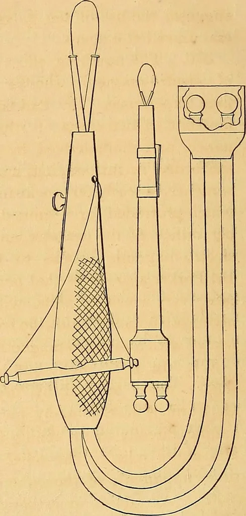 An illustration from The medical application of electricity, 1860, leaf 241