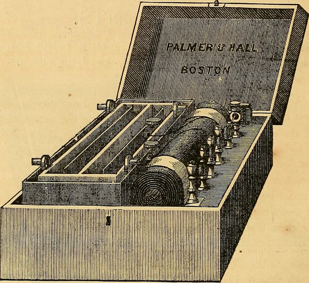 An illustration from The medical application of electricity, 1860, leaf 259