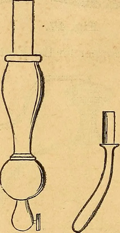 An illustration from The medical application of electricity, 1860, leaf 279