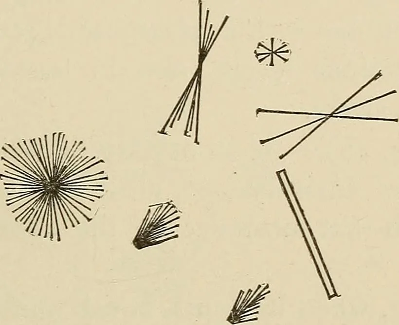 An illustration from Medical microscopy : a guide to the use of the microscope in medical practice, 1898, leaf 222