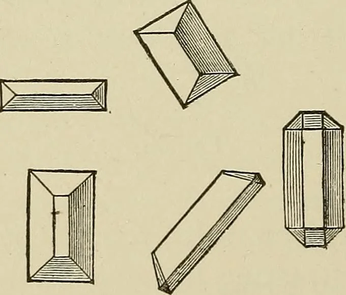 An illustration from Medical microscopy : a guide to the use of the microscope in medical practice, 1898, leaf 225