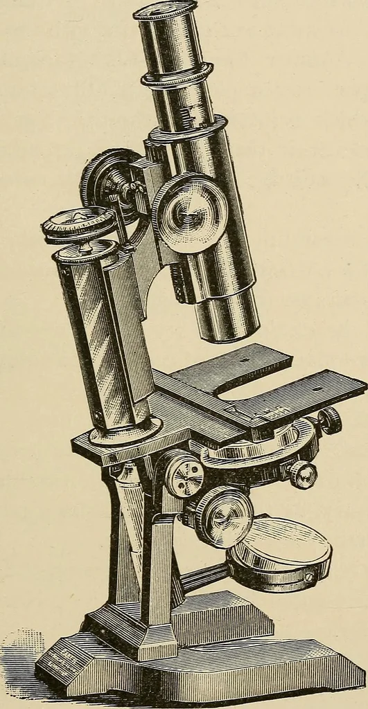 An illustration from Medical microscopy : a guide to the use of the microscope in medical practice, 1898, leaf 28