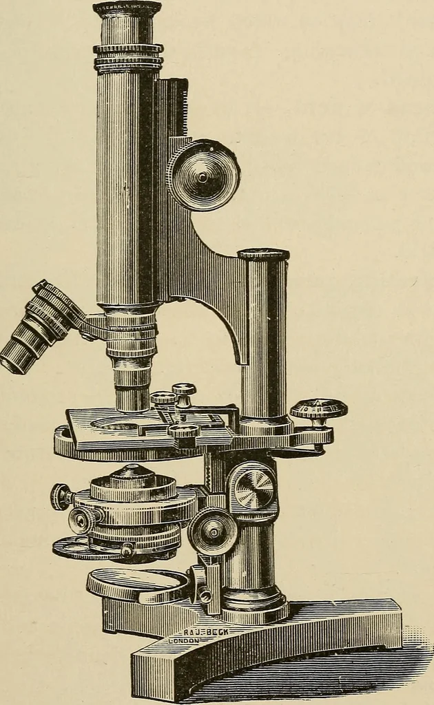 An illustration from Medical microscopy : a guide to the use of the microscope in medical practice, 1898, leaf 30