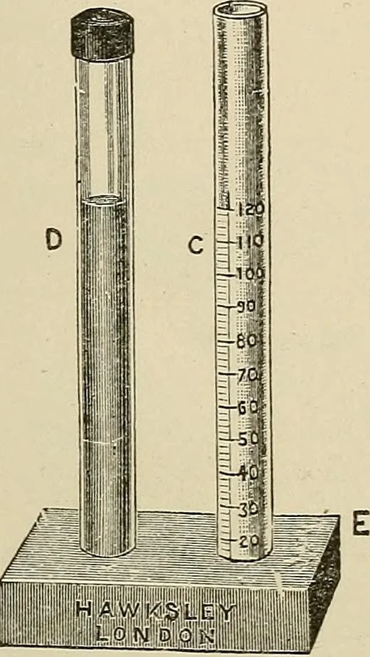 An illustration from Medical microscopy : a guide to the use of the microscope in medical practice, 1898, leaf 346