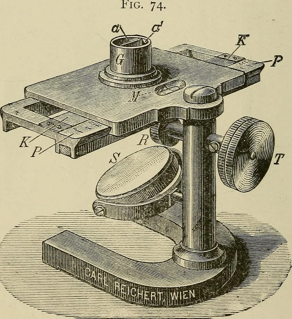 An illustration from Medical microscopy : a guide to the use of the microscope in medical practice, 1898, leaf 347