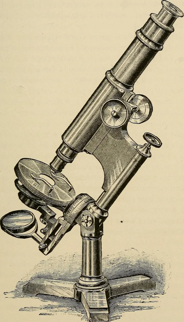 An illustration from Medical microscopy : a guide to the use of the microscope in medical practice, 1898, leaf 36