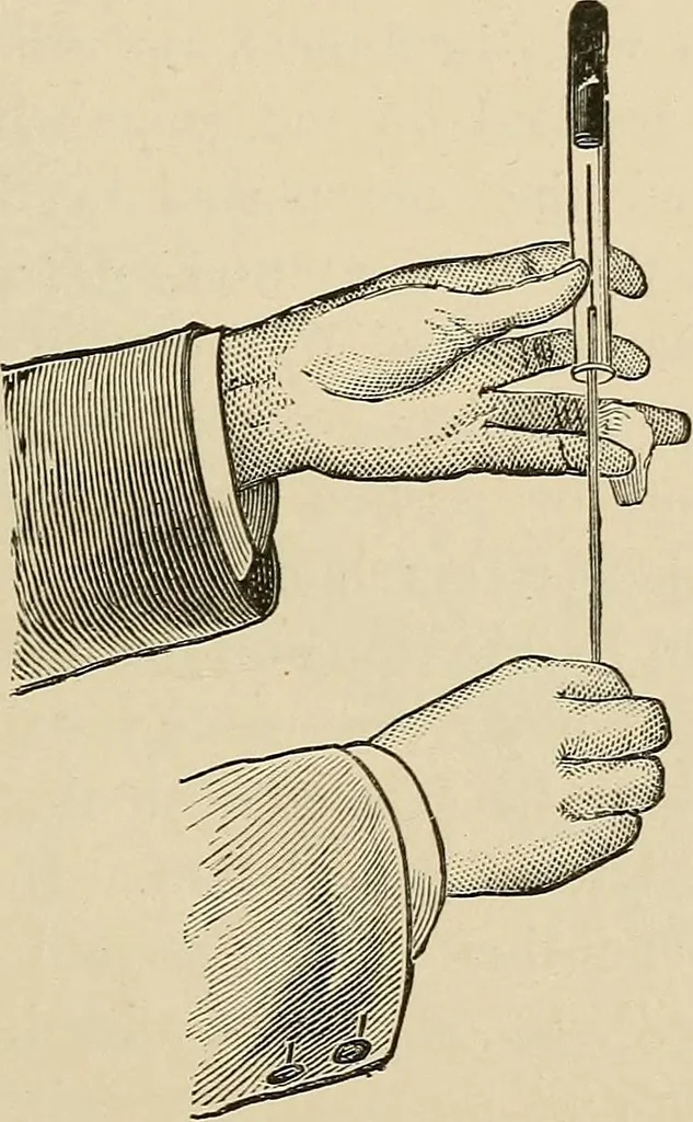 An illustration from Medical microscopy : a guide to the use of the microscope in medical practice, 1898, leaf 398