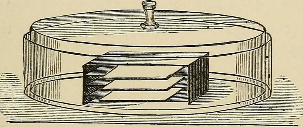 An illustration from Medical microscopy : a guide to the use of the microscope in medical practice, 1898, leaf 402