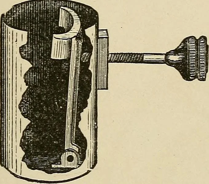 An illustration from Medical microscopy : a guide to the use of the microscope in medical practice, 1898, leaf 48
