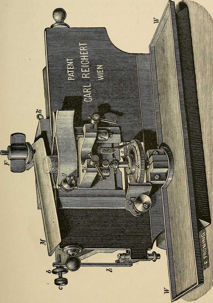 An illustration from Medical microscopy : a guide to the use of the microscope in medical practice, 1898, leaf 52