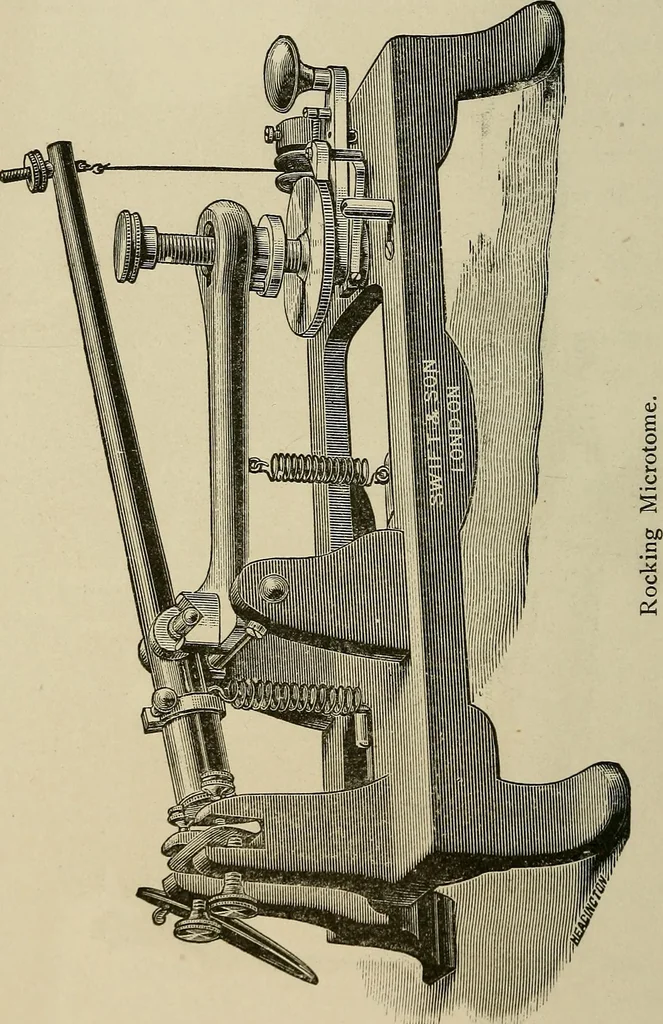 An illustration from Medical microscopy : a guide to the use of the microscope in medical practice, 1898, leaf 53