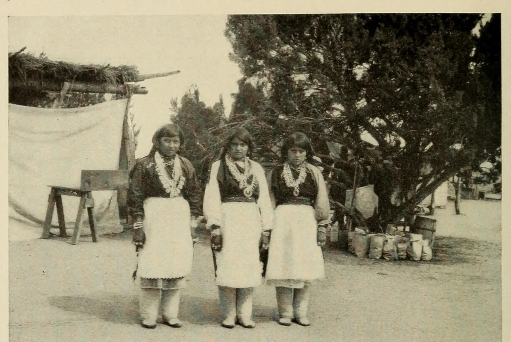 An illustration from Medical observations on the Zuñi Indians, 1924, leaf 12