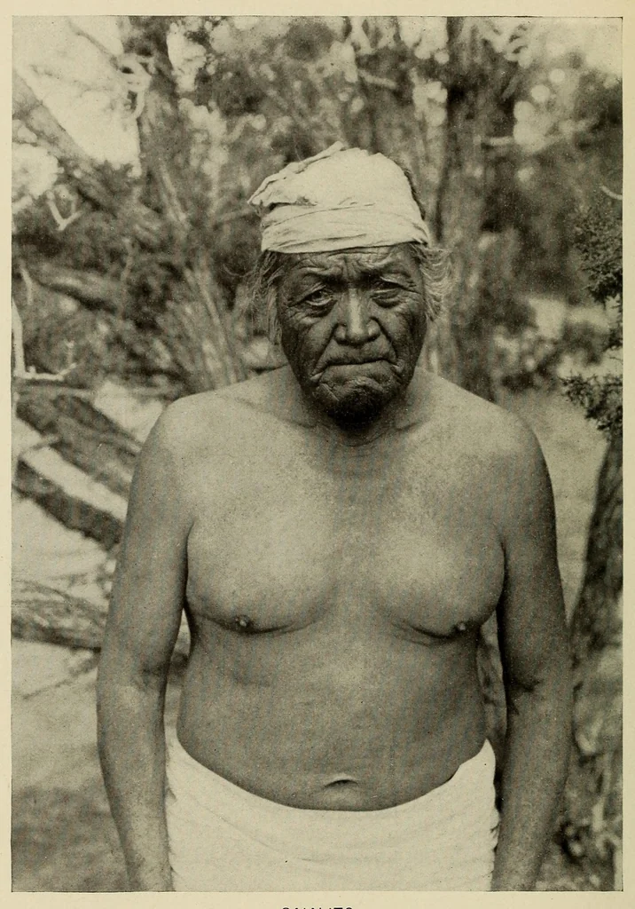 An illustration from Medical observations on the Zuñi Indians, 1924, leaf 16