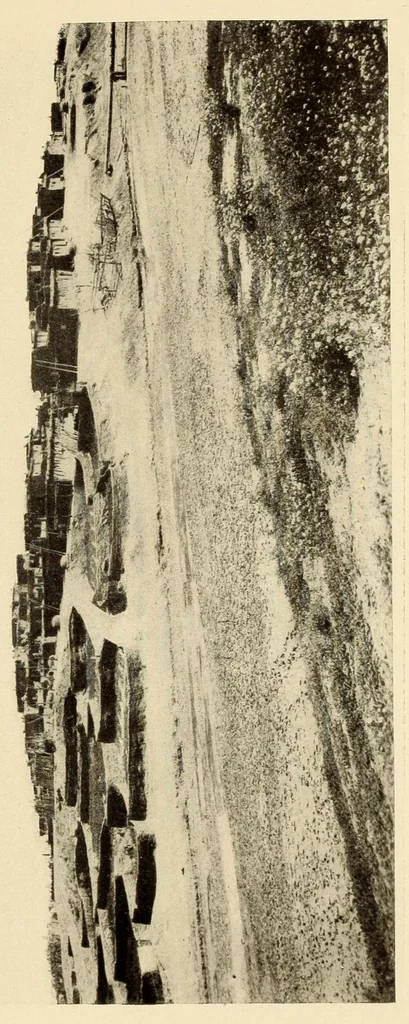 An illustration from Medical observations on the Zuñi Indians, 1924, leaf 7