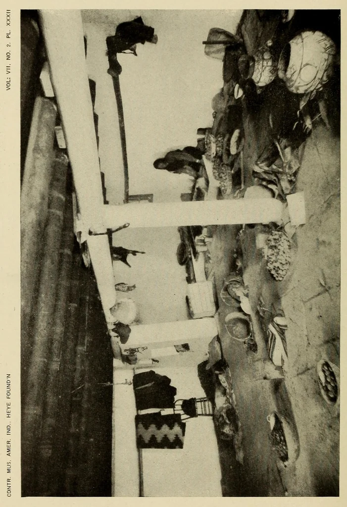 An illustration from Medical observations on the Zuñi Indians, 1924, leaf 8