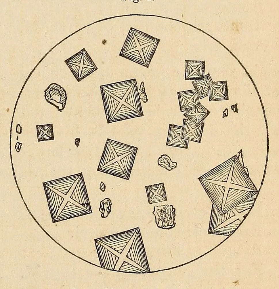 An illustration from The Medical and surgical reporter, 1858, leaf 295