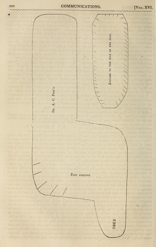 An illustration from The Medical and surgical reporter, 1858, leaf 224