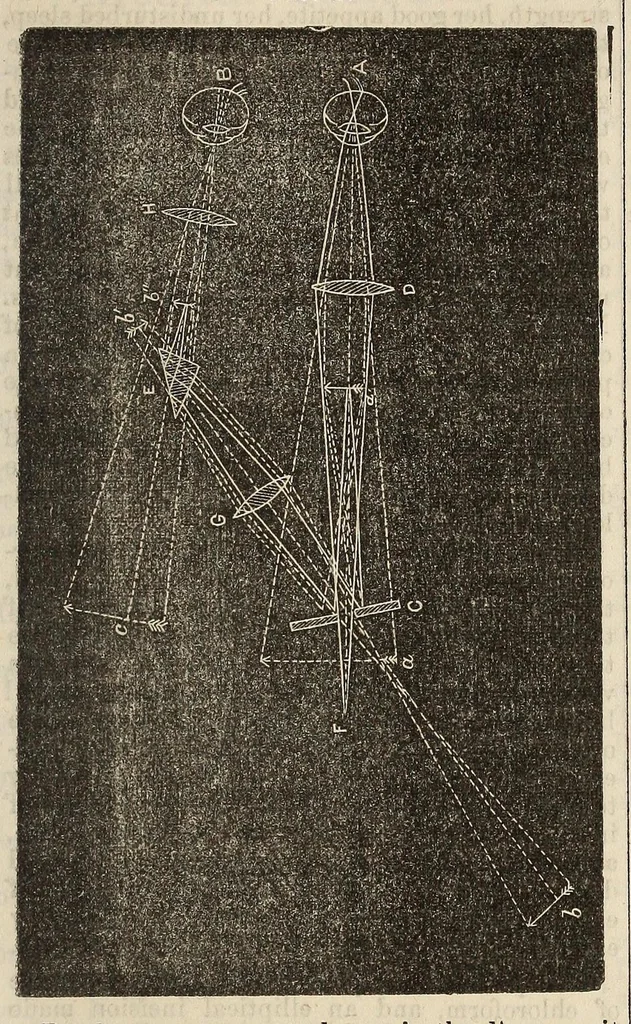 An illustration from The Medical and surgical reporter, 1858, leaf 541