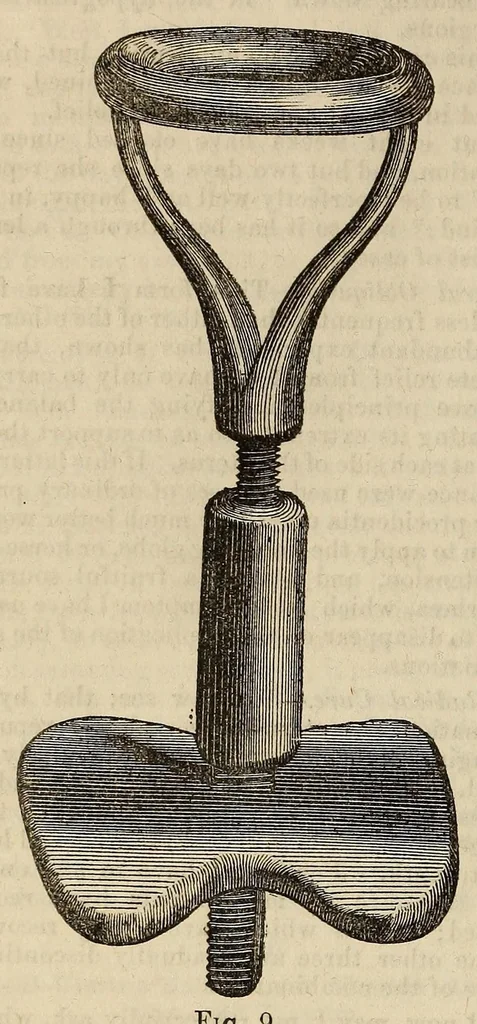 An illustration from The Medical and surgical reporter, 1858, leaf 586
