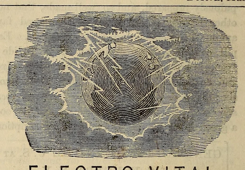 An illustration from The Medical and surgical reporter, 1858, leaf 602