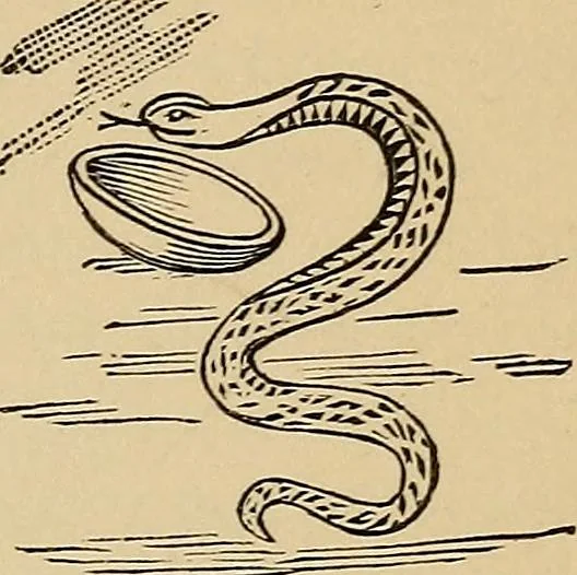An illustration from Medical symbolism in connection with historical studies in the arts of healing and hygiene, 1891, leaf 138