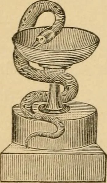 An illustration from Medical symbolism in connection with historical studies in the arts of healing and hygiene, 1891, leaf 177