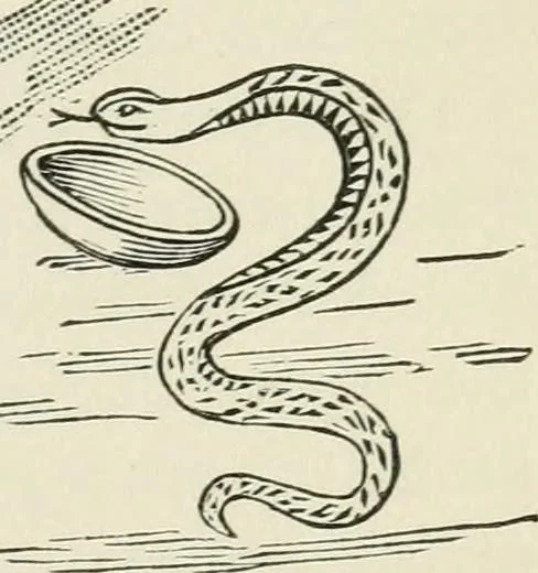 An illustration from Medical symbolism in connection with historical studies in the arts of healing and hygiene, 1891, leaf 140