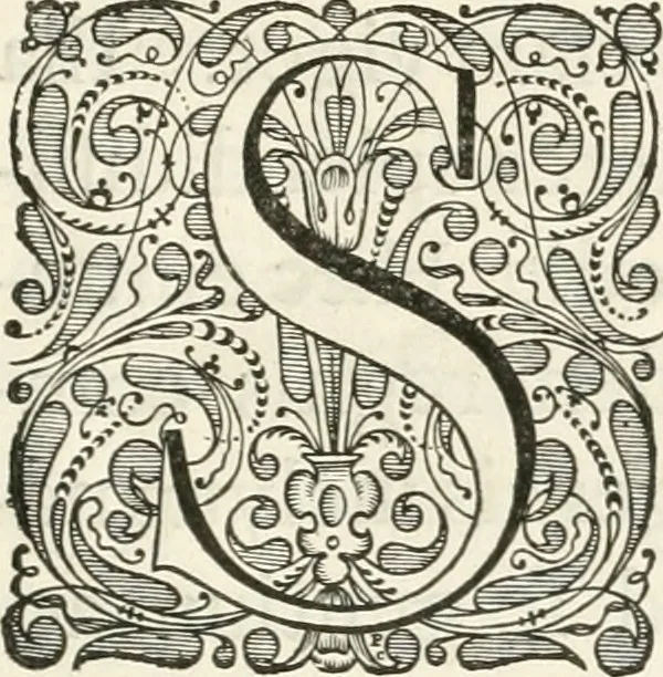 An illustration from Medicea hospes, sive Descriptio pvblicæ gratvlationis : qua Serenissimam, Augustissimamque reginam, Mariam de Medicis, excepit Senatvs popvlvsqve Amstelodamensis, 1638, leaf 14