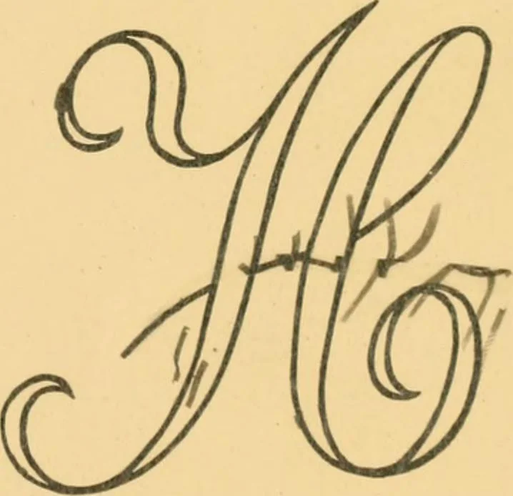 An illustration from Medici lace and the art of making it, 1908, leaf 20