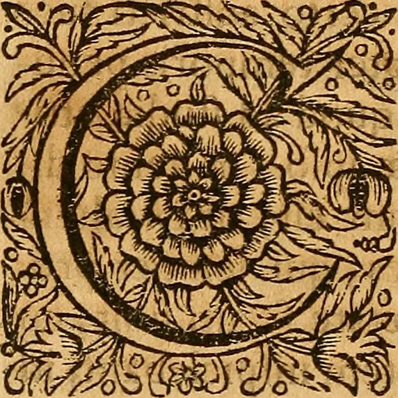 An illustration from Medicina mentis : sive, Artis inveniendi praecepta generalia, 1695, leaf 303