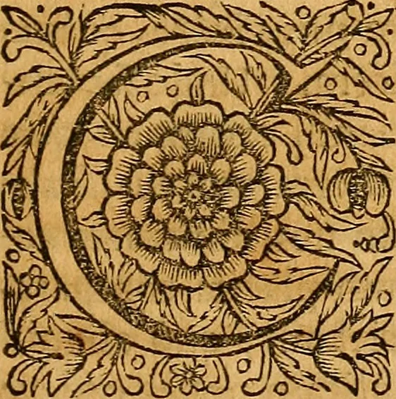 An illustration from Medicina mentis : sive, Artis inveniendi praecepta generalia, 1695, leaf 32