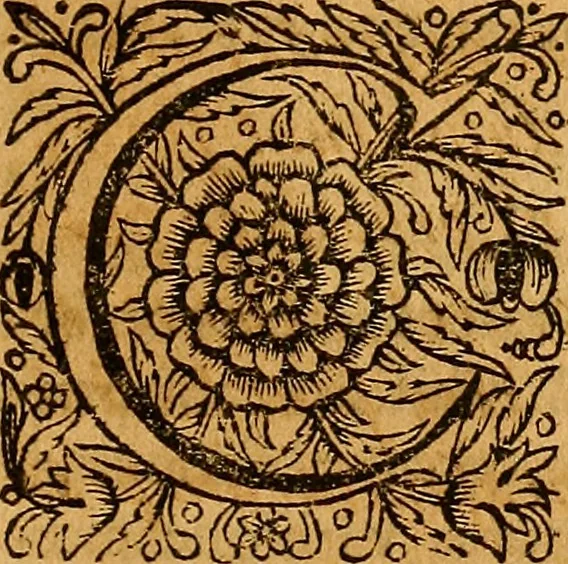 An illustration from Medicina mentis : sive, Artis inveniendi praecepta generalia, 1695, leaf 332