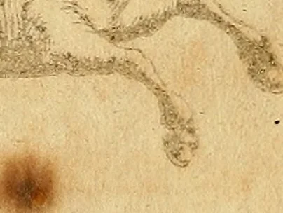 An illustration from Medicina mentis : sive, Artis inveniendi praecepta generalia, 1695, leaf 5
