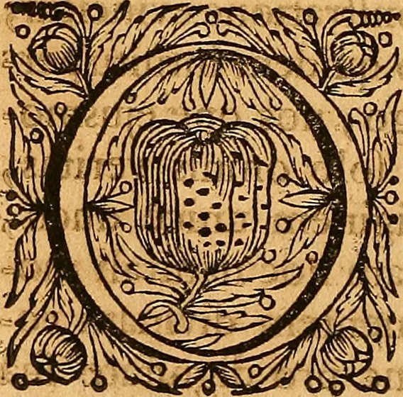 An illustration from Medicina mentis : sive, Artis inveniendi praecepta generalia, 1695, leaf 53