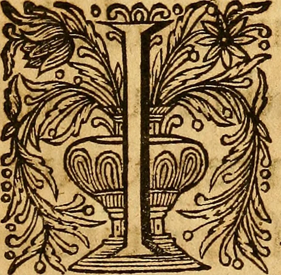 An illustration from Medicina mentis : sive, Artis inveniendi praecepta generalia, 1695, leaf 8