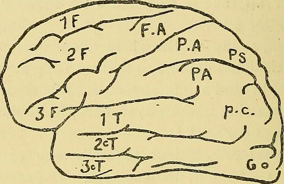 An illustration from Medicine and the mind : (la medecine de l'esprit), 1900, leaf 169