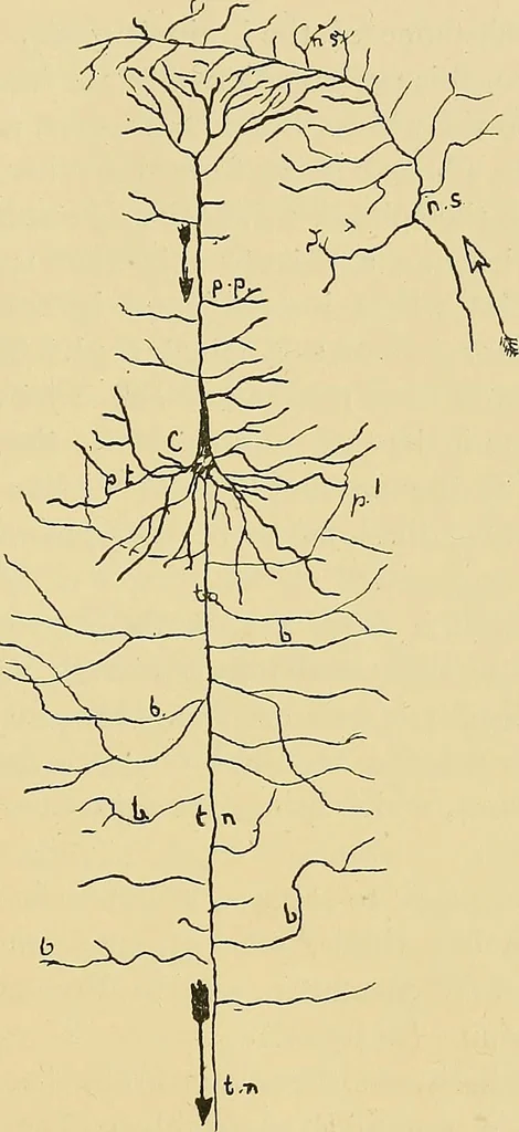 An illustration from Medicine and the mind : (la medecine de l'esprit), 1900, leaf 172