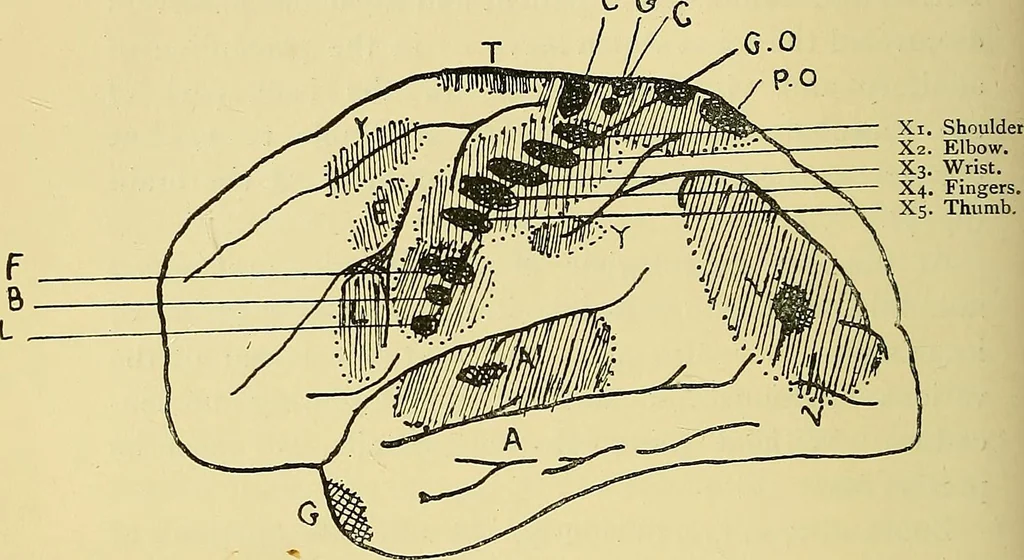 An illustration from Medicine and the mind : (la medecine de l'esprit), 1900, leaf 181