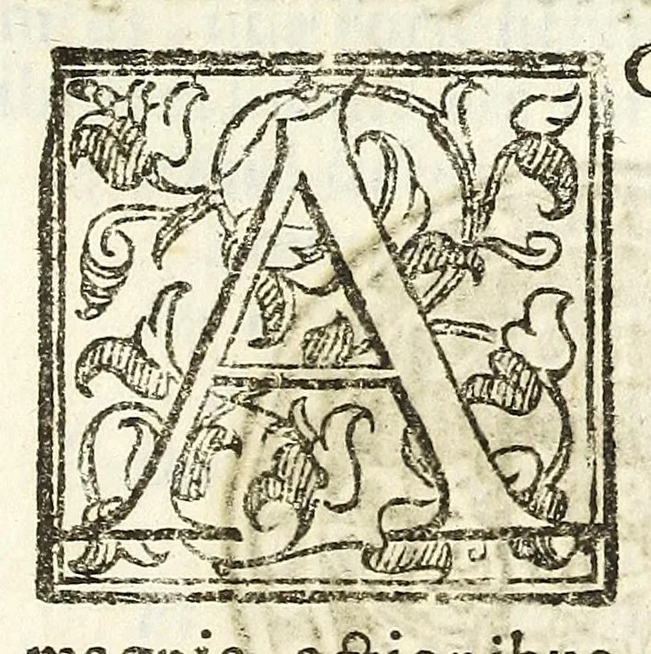 An illustration from Mediolanenses antiquitates ex urbis paroecijs collectae : ichnographicis ispsarum tabulis, recentibus rerum memorijs, varijs ecclesiasticis ritibus auctę et illustratę, 1625, leaf 49