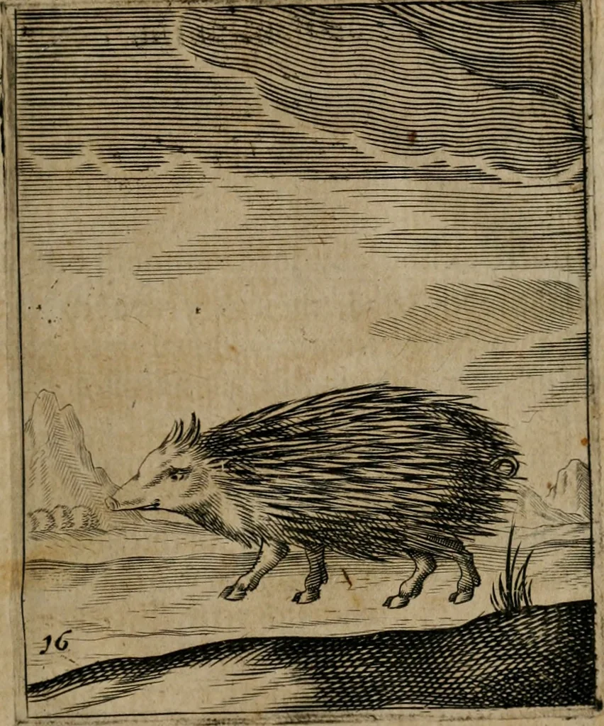 An illustration from Meditationes emblematicae de restaurata pace Germaniae = Sinnebilder von dem widergebrachten Teutschen Frieden, 1649, leaf 40