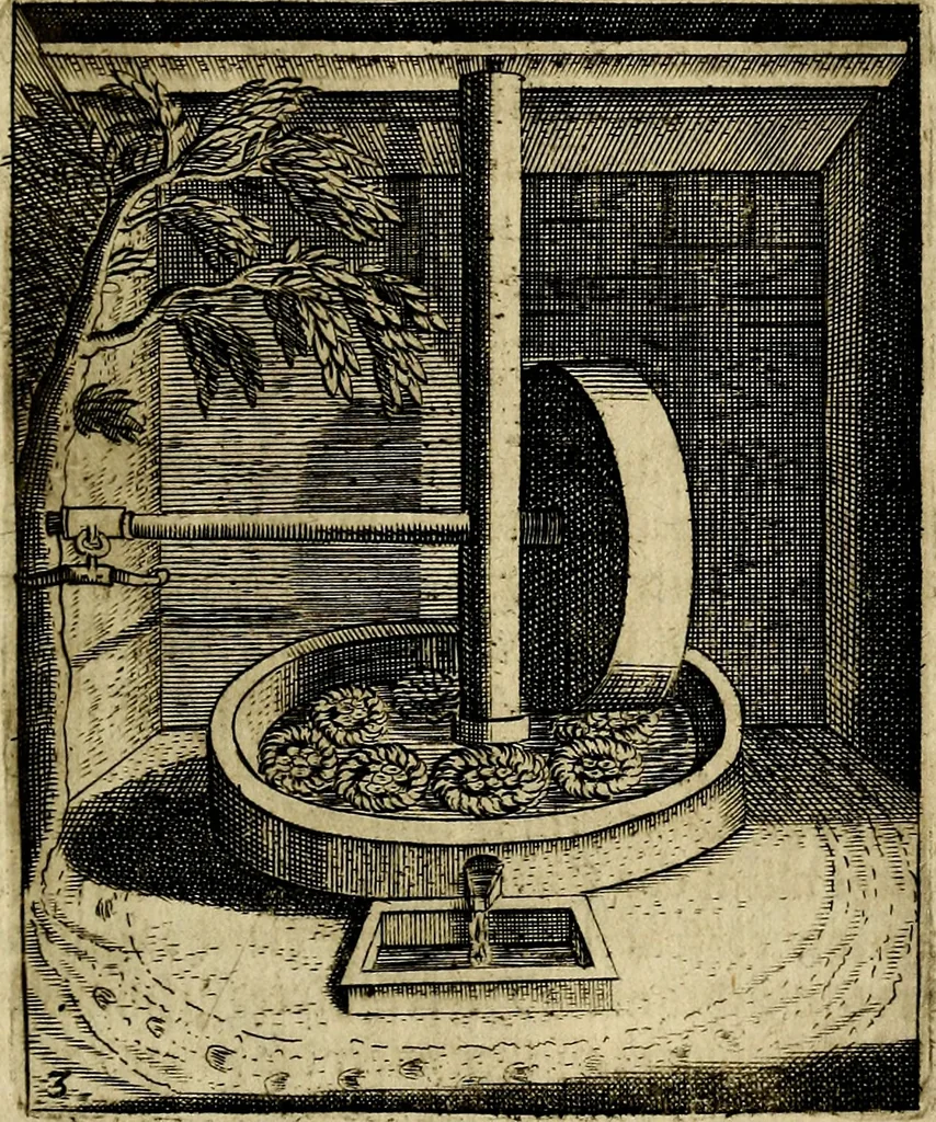 An illustration from Meditationes emblematicæ de restaurata pace Germaniæ. : Sinnebilder von dem widergebrachten teutschen Frieden, kürtzlich erklärt, 1649, leaf 16