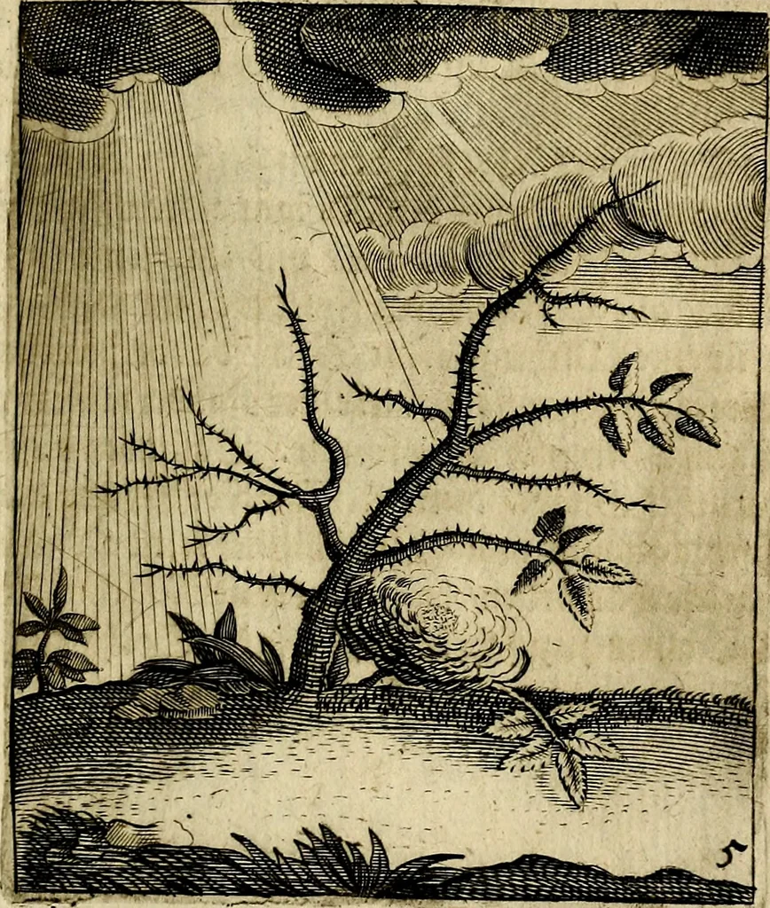 An illustration from Meditationes emblematicæ de restaurata pace Germaniæ. : Sinnebilder von dem widergebrachten teutschen Frieden, kürtzlich erklärt, 1649, leaf 20