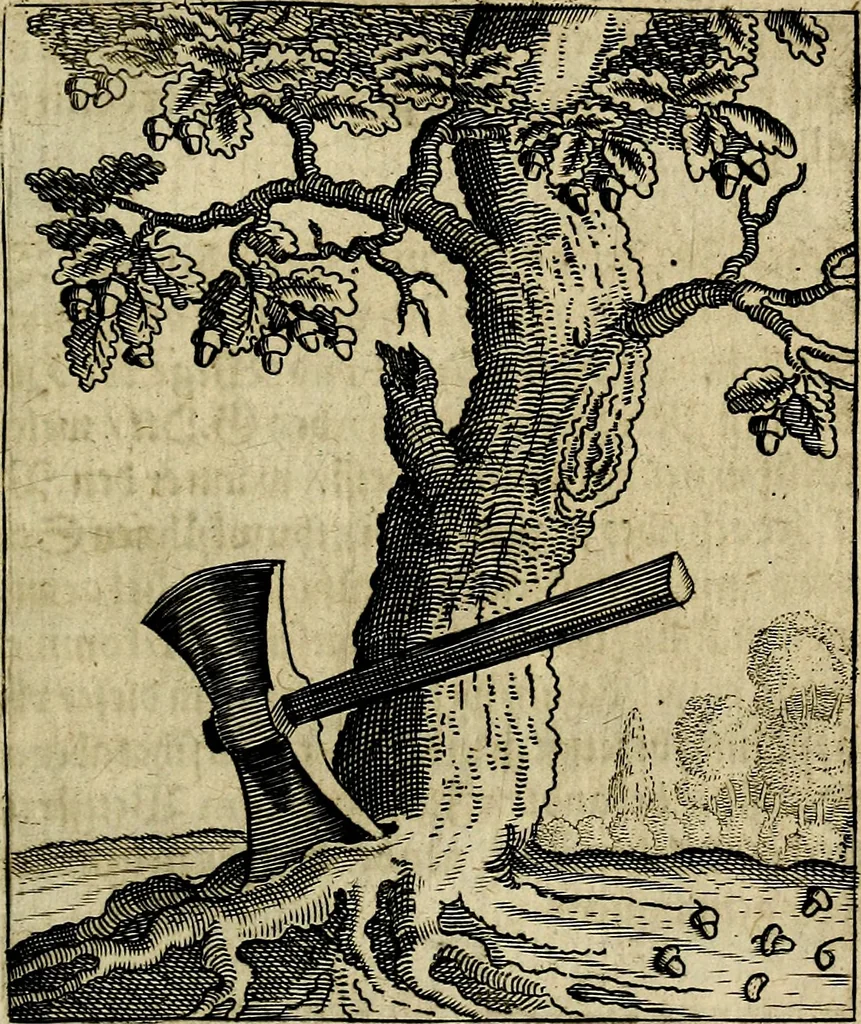An illustration from Meditationes emblematicæ de restaurata pace Germaniæ. : Sinnebilder von dem widergebrachten teutschen Frieden, kürtzlich erklärt, 1649, leaf 22