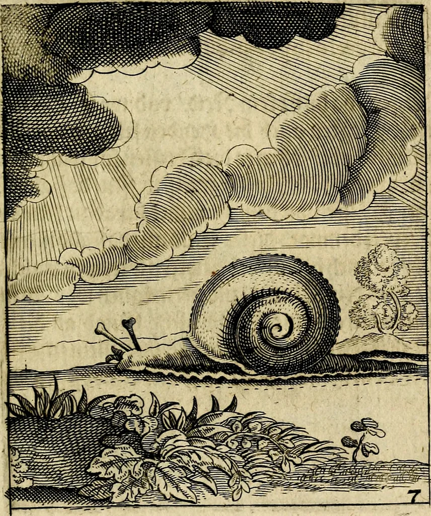 An illustration from Meditationes emblematicæ de restaurata pace Germaniæ. : Sinnebilder von dem widergebrachten teutschen Frieden, kürtzlich erklärt, 1649, leaf 24
