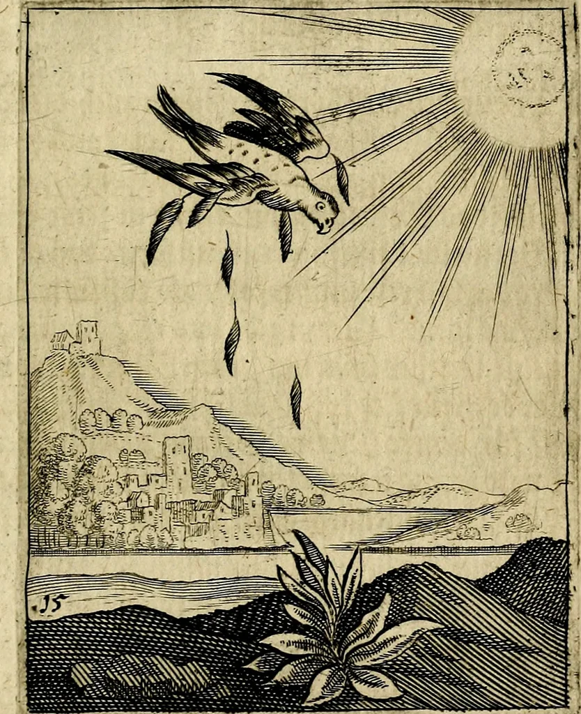 An illustration from Meditationes emblematicæ de restaurata pace Germaniæ. : Sinnebilder von dem widergebrachten teutschen Frieden, kürtzlich erklärt, 1649, leaf 40