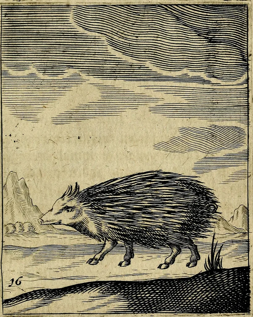 An illustration from Meditationes emblematicæ de restaurata pace Germaniæ. : Sinnebilder von dem widergebrachten teutschen Frieden, kürtzlich erklärt, 1649, leaf 42