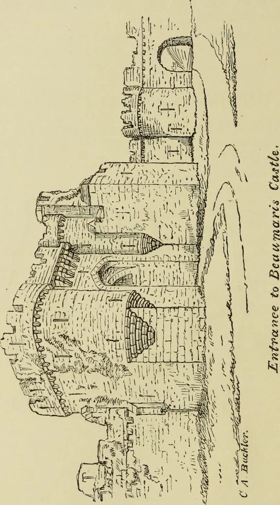 An illustration from Mediæval military architecture in England, 1884, leaf 229